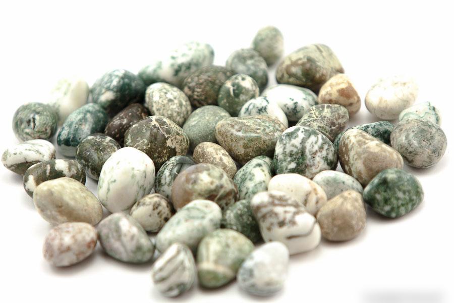 Tree Agate Tumbled 1 lb