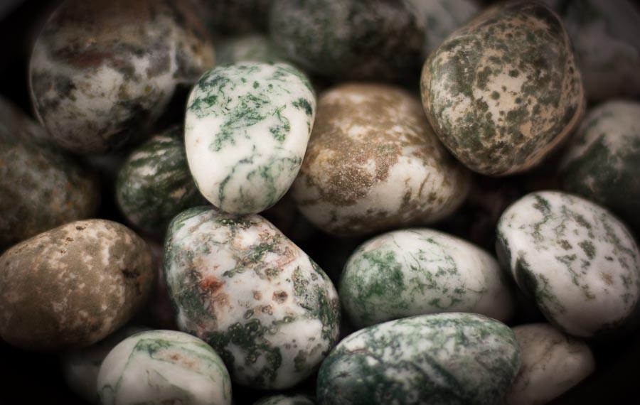 Tree Agate Tumbled 1 lb