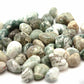 Tree Agate Tumbled 1 lb