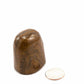 Tigers Eye Free Shape