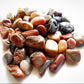 Petrified Wood Tumbled 1 lb