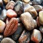 Petrified Wood Tumbled 1 lb